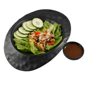 Chicken Oriental Salad